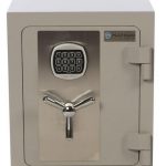 Platinum Urban 2D -Home / Office Combination Cash & Fire Protection safe (Large)